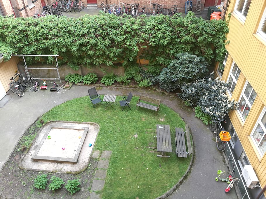 View from your room