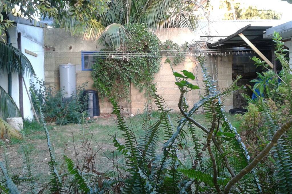 backyard