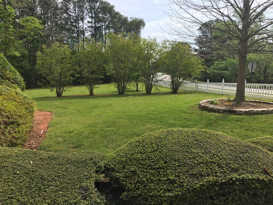 Front Lawn