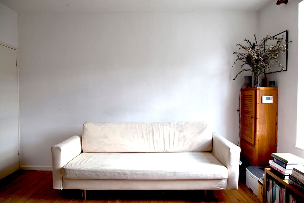 Living room with two person sofa bed