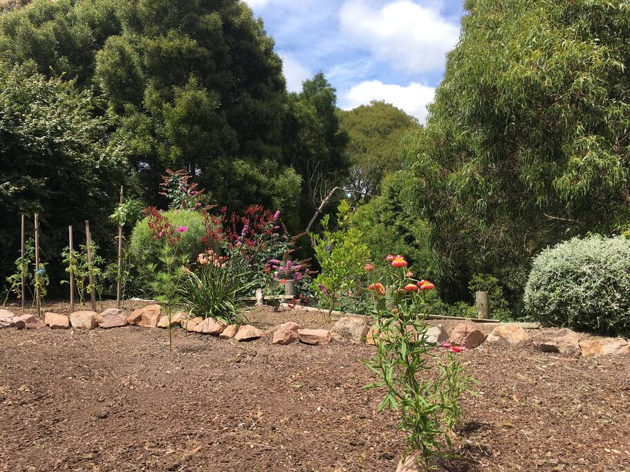 Mum does all the gardening .... very proud of her work!