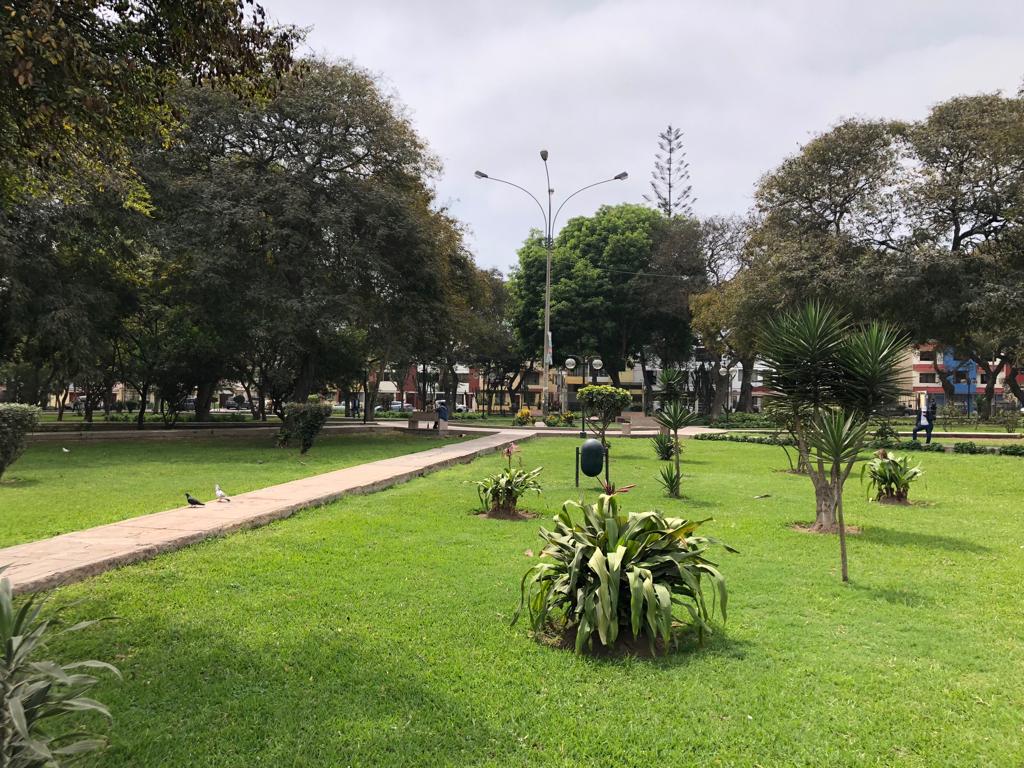 An open green space is depicted, featuring a neatly paved pathway lined with low-growing plants. Trees provide shade throughout the area, while benches and decorative elements can be spotted in the background. The scene suggests an inviting environment for leisurely walks.