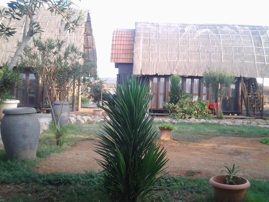 Outside view öf the wooden bungalows and gardens...