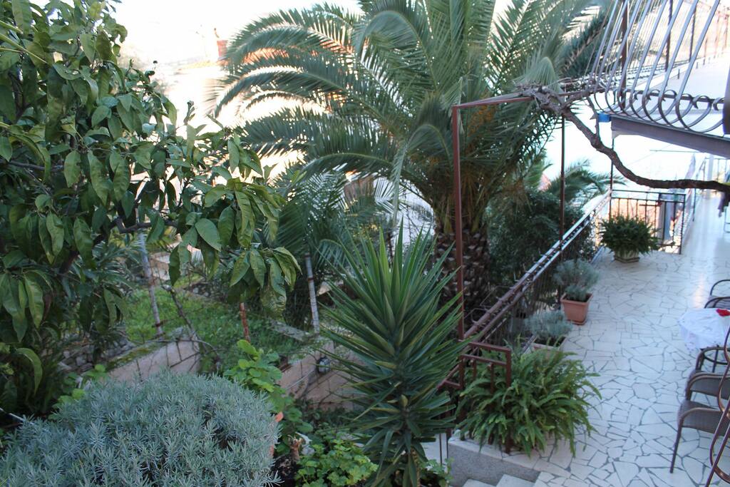 courtyard (house and surroundings)