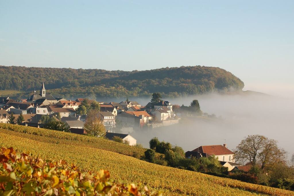 environnement proche