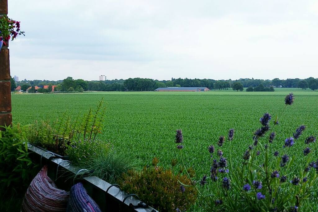 Het uitzicht vanaf het balkon.
