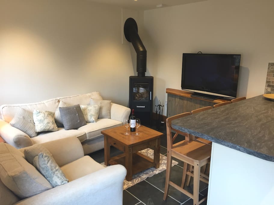 Living room with log burner and TV