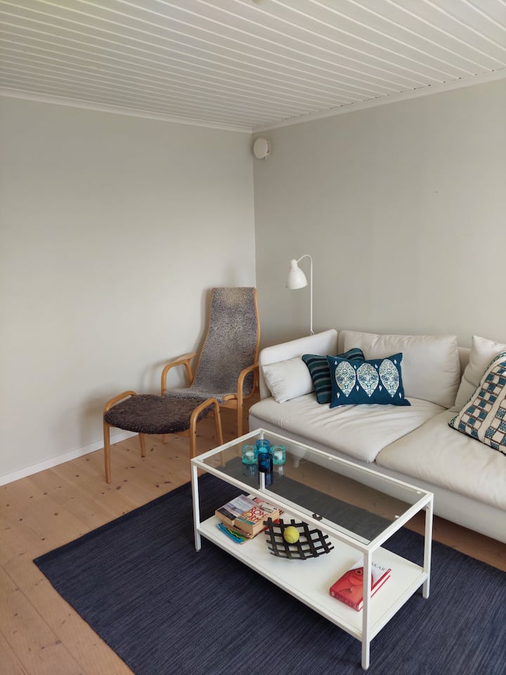 Obývacia izba je malá, ale má pohodlný gauč a Laminofetová stolička. K dispozícii je tiež krb, v ktorom môžete spáliť a rýchlo sa zohriať, alebo len cítiť teplo.