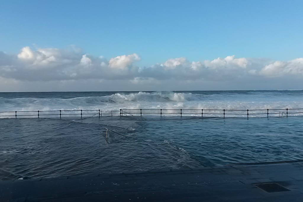 Natural swimmingpools