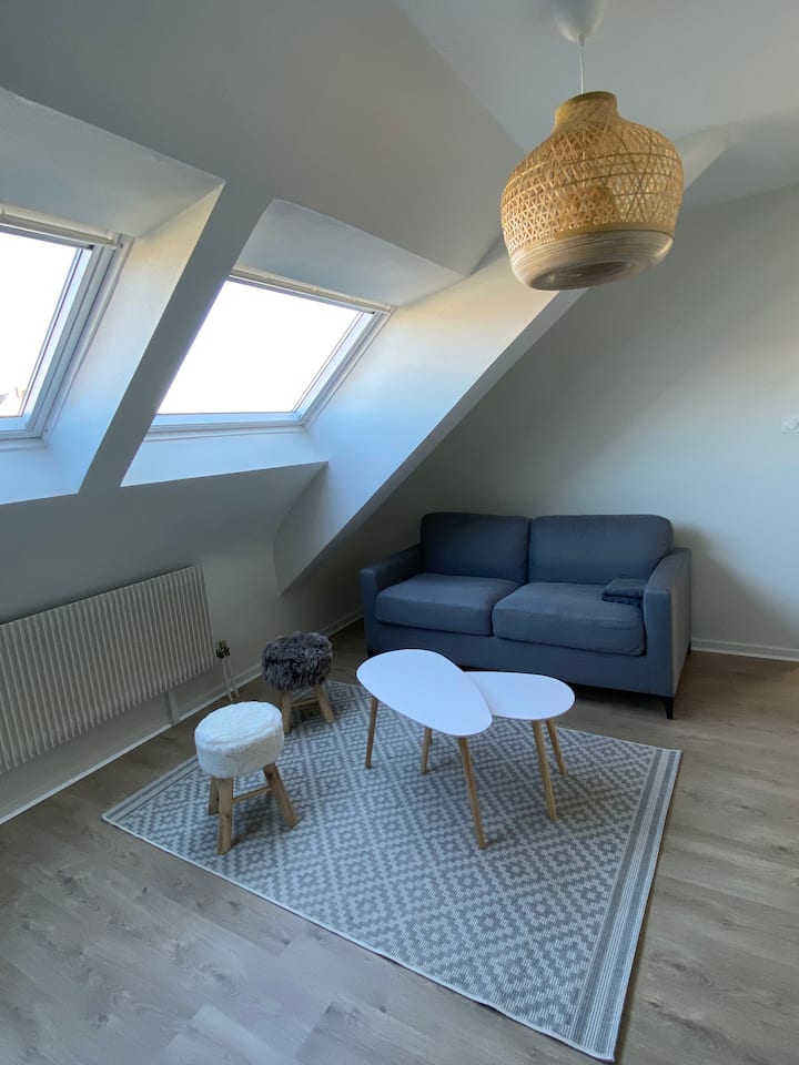 Appartement Neuf Hyper Centre Colmar - Colmar