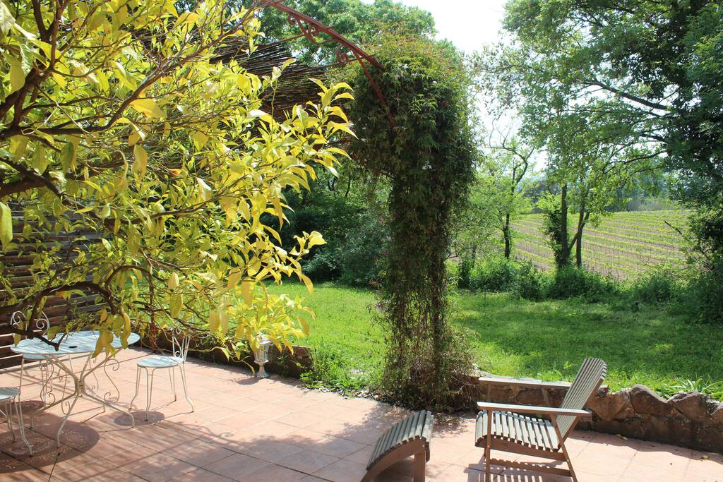 Terrasse ensoleillée
vue sur les vignes