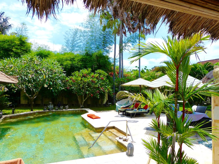 the pool with the big terrace