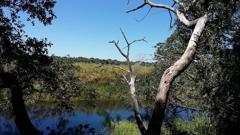 Askiesbos Camp Okavango Delta & XanikweActivities