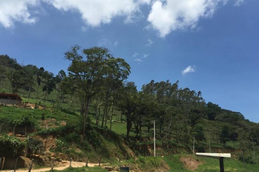 Imagem externa