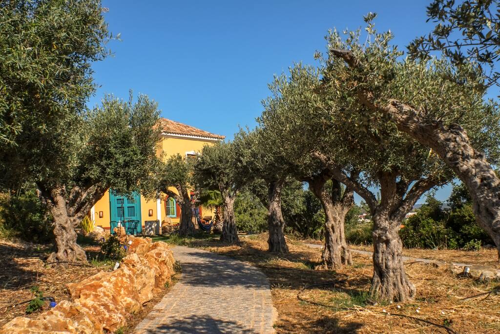 Path to the Chapel Suite