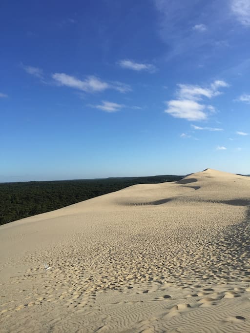 La dune de Pyla à 10 minutes