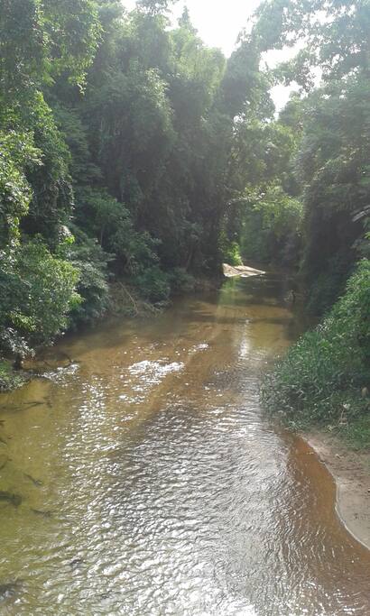 RIO DE BOISSUCANGA