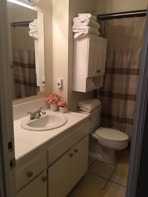 Guest bathroom