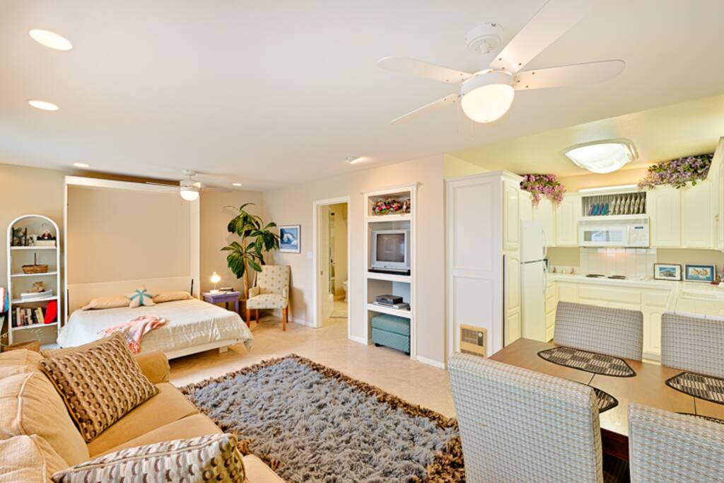 Studio with Murphy Bed and Sofa Sleeper