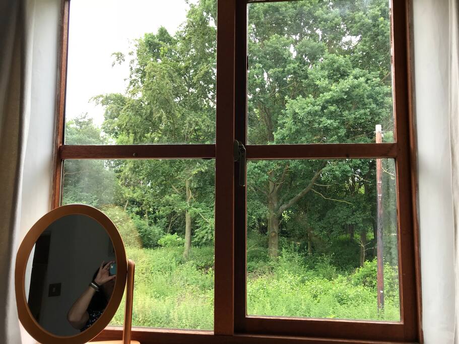 view from the bedroom