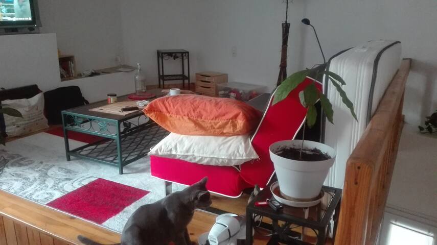 Airbnb La Caunette Vacation Rentals Places To Stay