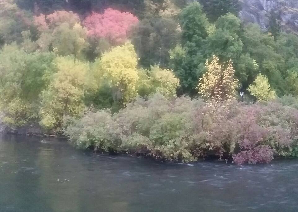 View from cabin