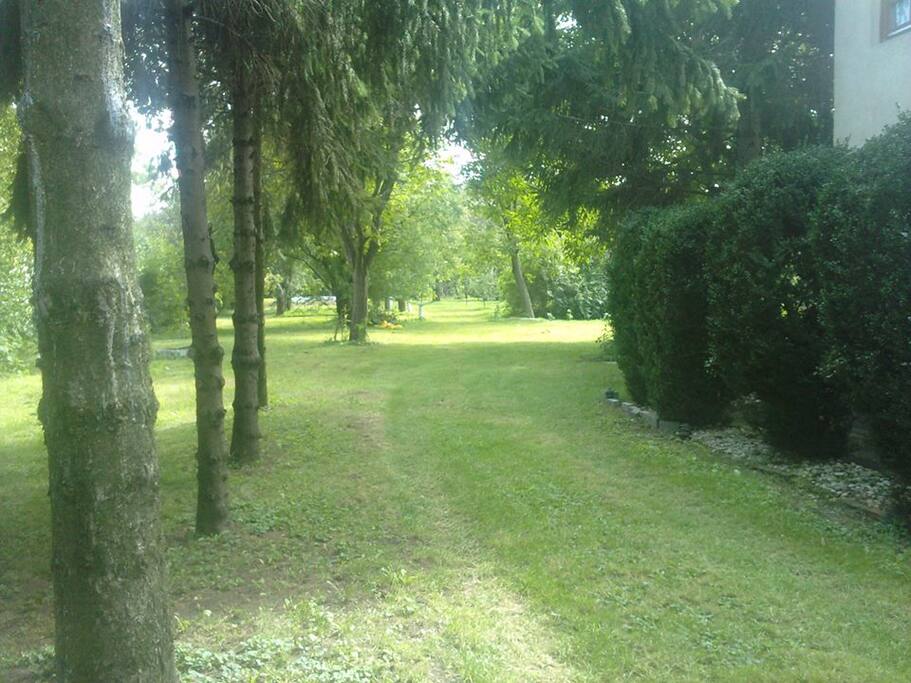 Einfahrt und Sicht auf den großen Garten