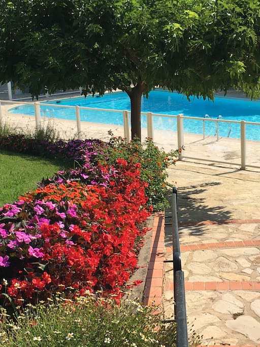 piscine