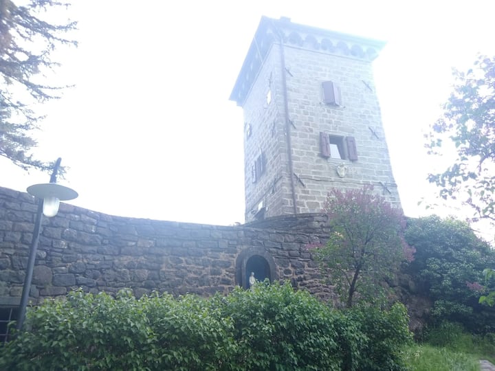 Riva Tower, historic home