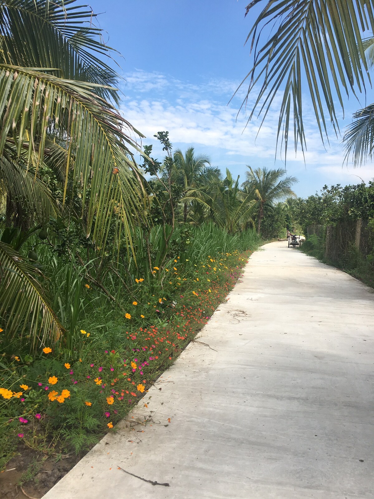 A concrete pathway meanders through lush greenery, flanked by vibrant flowers in shades of orange and pink. Tall feathery palm trees provide shade as the bright sky peeks through scattered clouds, creating a serene outdoor setting.