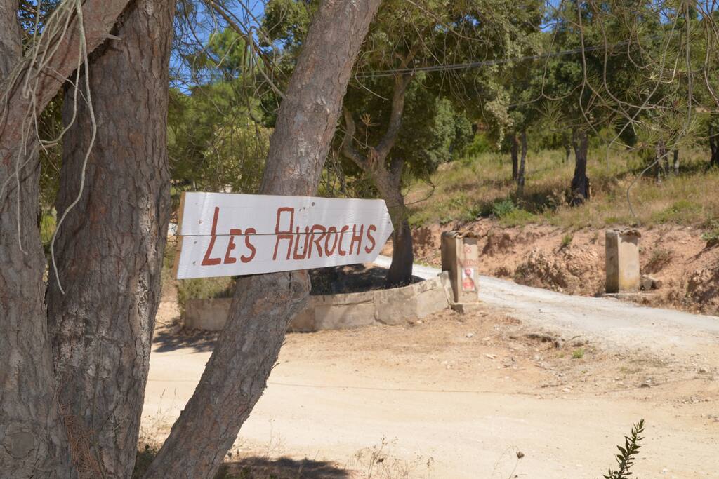 Les Aurochs