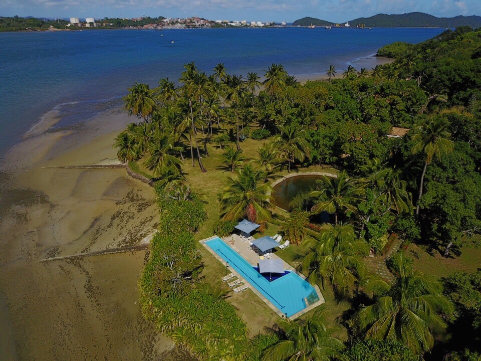 An aerial view captures a spacious, wooded area bordered by a pristine beach. A swimming pool is centered among the palm trees, with lounge chairs positioned for relaxation. The calm blue waters reflect the clear sky, enhancing the serene natural surroundings.