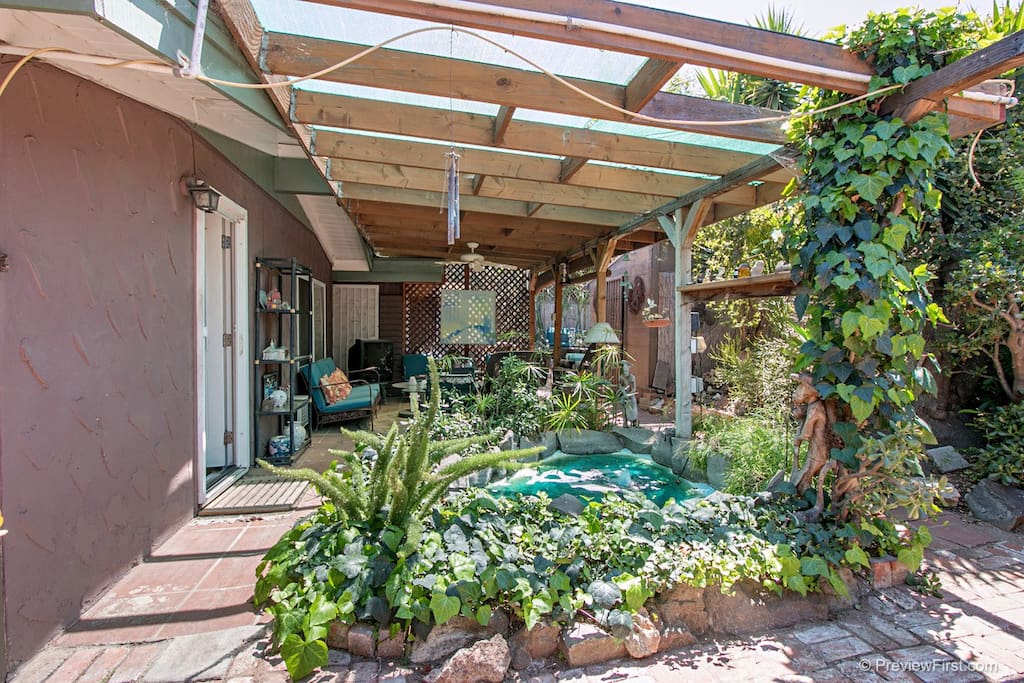 The Back Yard