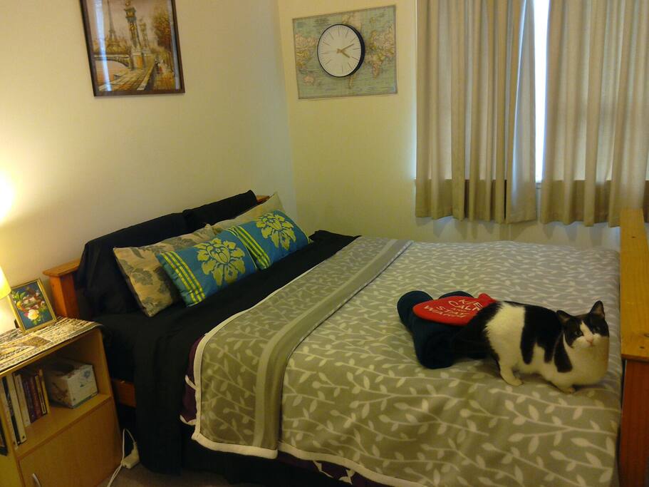 A very comfortable bed with towels and a kitty by the bed for cuddles to keep you warm.