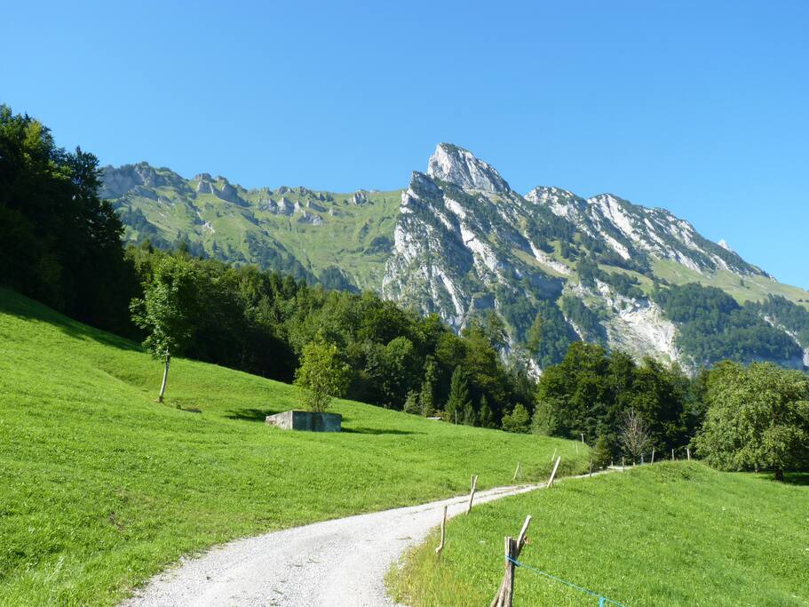 Blick zum Alpstein