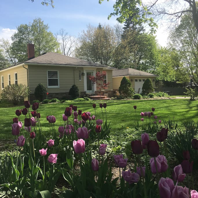 Spring at the Red Maple Retreat brings the beauty of new blooms.