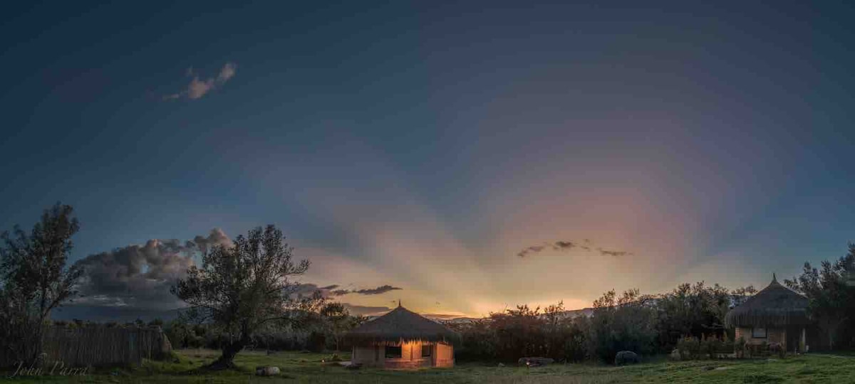 A spacious cabin is set against a twilight sky, showcasing gentle sunset rays that illuminate the surroundings. The structure features a thatched roof and is surrounded by trees and open greenery, creating a serene and inviting outdoor atmosphere.