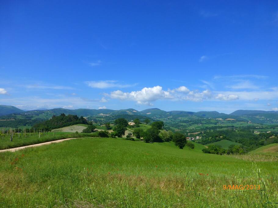 La casa vista dal campo di sopra...
