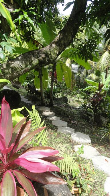 jardin de la propriété