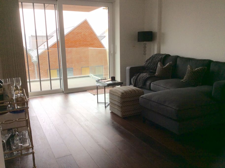 Spacious Living room with walk-out balcony space and large sofa for sleeping.