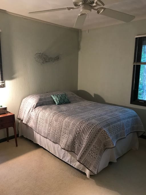 Guest room. Also a single daybed in this room with a pull out single underneath!