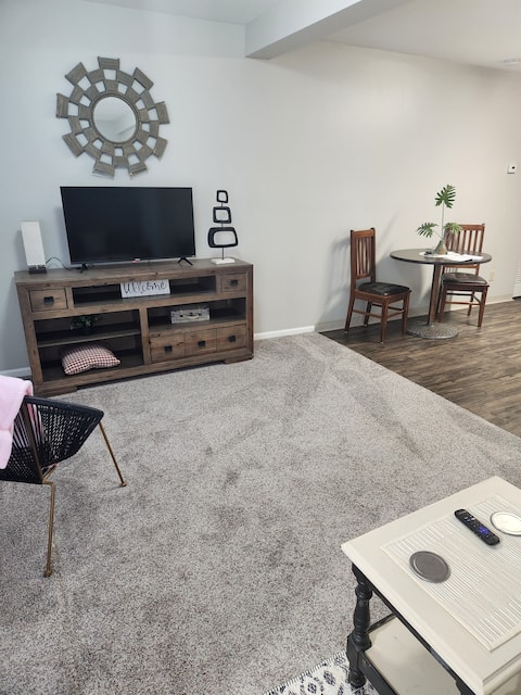 Flamingo
1 Person unit. No exceptions.