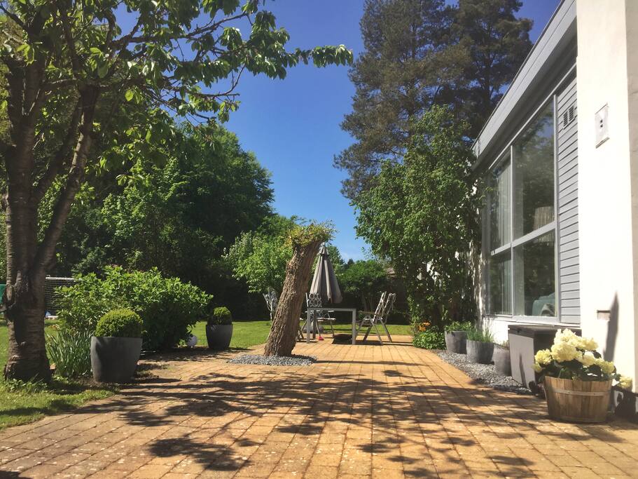 Late spring 2018
