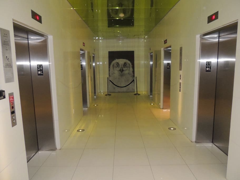Elevators
