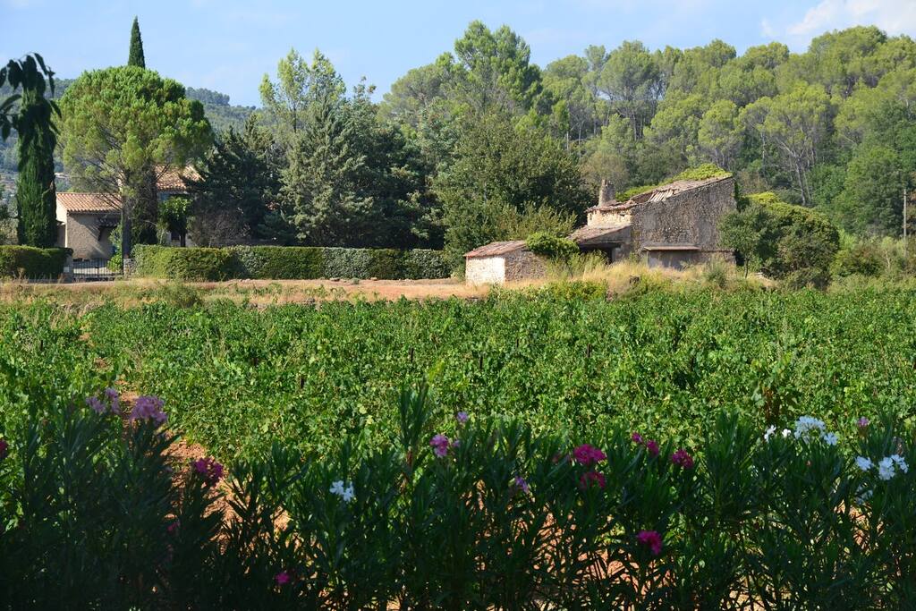 Vue depuis la maison