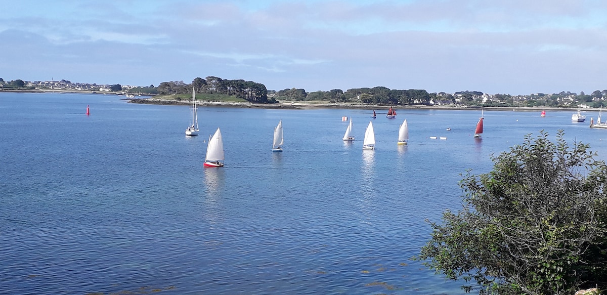 Numerous sailboats are seen gliding across calm waters, surrounded by lush greenery and distant land. Silhouettes of trees line the shoreline, while a gentle sky meets the horizon, creating a serene coastal landscape.