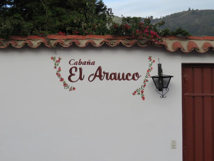 Pintura de la fachada