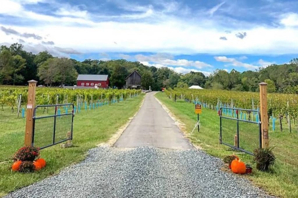 Great Frogs Winery - 1.3 miles