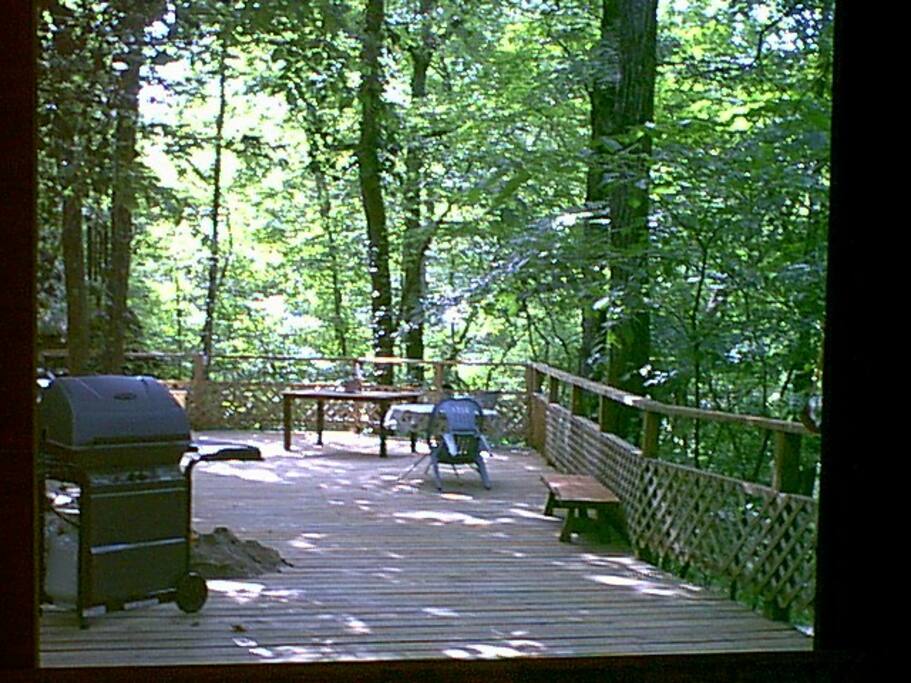 The back deck, overlooking Thomas Creek.