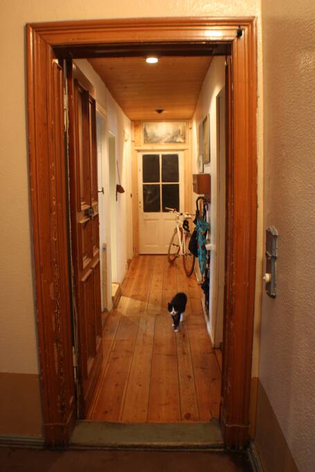 As you enter, you're greeted by an old noisy cat called Schmeddy.